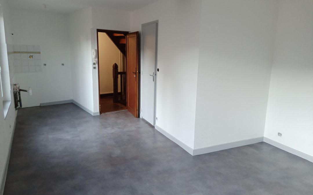 réfection d’appartements et de leurs communs